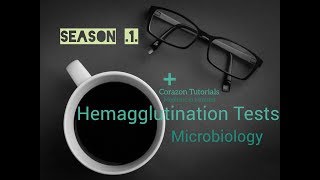 Hemagglutination tests Microbiology  Immunology  Antigen Antibody Reactions [upl. by Oemor602]