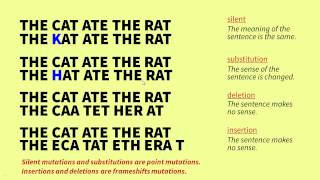 The Genetic Code and Mutations [upl. by Yartnoed]