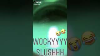 Wocky Slush  1 hour version [upl. by Malchus13]