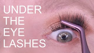 HOW TO APPLY UNDER EYE LASHES [upl. by Weitzman366]