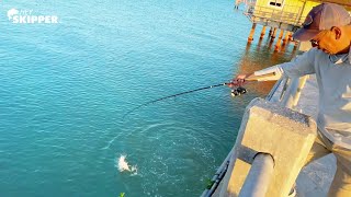 Catch the BIGGEST fish at the Pier 3 SIMPLE METHODS for Pier Fishing [upl. by Johen]