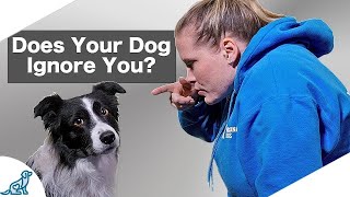 Are You Accidentally Being A BAD Leader For Your Dog [upl. by Volney]