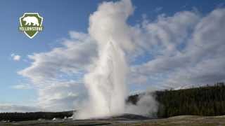 Old Faithful Geyser in Yellowstone National Park [upl. by Tremann351]