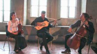 Boccherini La Musica Notturna di Madrid  Passa Calle  Carmina Quartet  Rolf Lislevand [upl. by Yatnwahs]