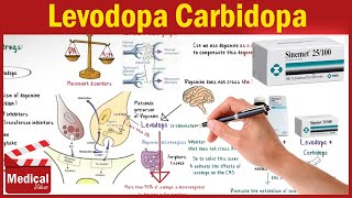 Pharmacology CNS 3 Parkinsons Disease Treatment Part 1 Levodopa Carbidopa and Benserazide [upl. by Nyleimaj]