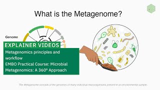 Metagenomics principles and workflow [upl. by Sirkin842]