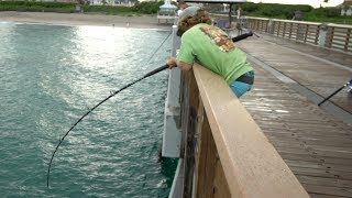 UNSTOPPABLE Fish Juno Pier Snook Fishing [upl. by Danby]