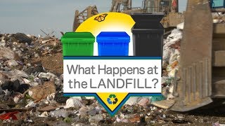 What Happens at the Landfill [upl. by Latoya414]