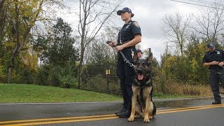 Police Dog Training your best friend [upl. by Les231]