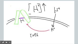 Review of Bacteriorhodopsin [upl. by Alvar]