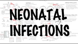 Neonatal Infections  Overview [upl. by Asirap]