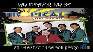 Mix de las 15 Favoritas de TROPICAL DEL BRAVO exitos gruperos [upl. by Wilkey122]