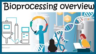 Bioprocessing overview Upstream and downstream process [upl. by Yajet168]