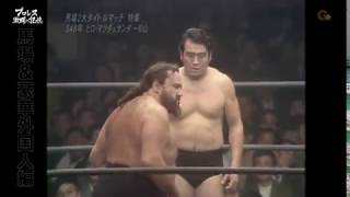 AJPW  Curtis Iaukea amp Antonio Pugliese vs Hiro Matsuda amp Koji Sugiyama [upl. by Ing560]