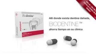 3 Razones para usar Biodentine [upl. by Ronna616]