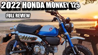 2022 Honda Monkey 125 Review [upl. by Now]