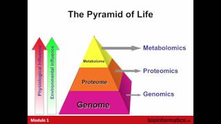 Introduction to Metabolomics [upl. by Kiel]