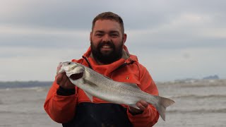 Fishing for big bass on a Welsh surf beach [upl. by Furr]