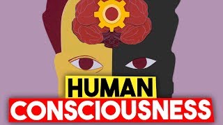 The Crazy Truth About Human Consciousness [upl. by Revart398]