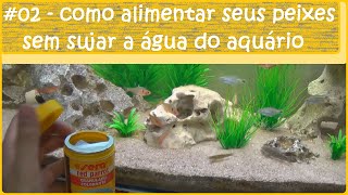 Como alimentar seus peixes sem sujar a água do aquário [upl. by Sapers]