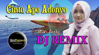 DJ Cinto Apo Adonyo Remix 2020  Jihan Audy [upl. by Eissoj431]