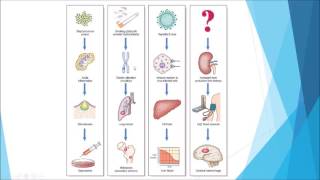 Pathology  Introduction and disease nomenclature [upl. by Atwekk]