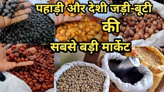 भारत की सबसे बड़ी जड़ीबूटी की होलसेल मार्केट😱Cheapest Jadi Buti Holsel Market  Kharibaoli DELHI6 [upl. by Aitnauq]