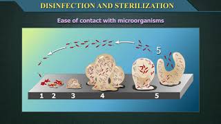 Disinfection and Sterilization [upl. by Ruprecht275]