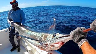 Pesca de Marlin Rayado en Mazatlán 100 lbs [upl. by Farl]