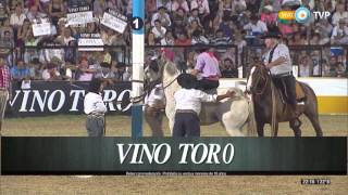 Festival de Jesús María 2016  Jineteada Tanda 1 [upl. by Nylzzaj]