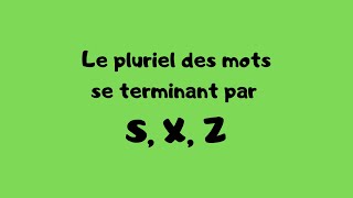 Le pluriel des mots se terminant par S X Z [upl. by Enelram18]