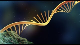 Single Cell RNA Sequencing vs Bulk RNA Sequencing [upl. by Voorhis]