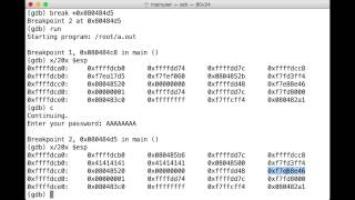 How They Hack Buffer Overflow amp GDB Analysis  James Lyne [upl. by Eisset]