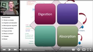 52 Carbohydrates Digestion and Absorption [upl. by Joseph]