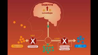 Parkinson Disease animation [upl. by Atiker911]