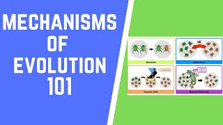 Mechanisms of Evolution 101 [upl. by Haret]