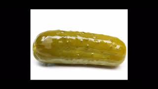 The Pickle Song 1 Hour Long READ DESCRIPTION viral [upl. by Kathleen]