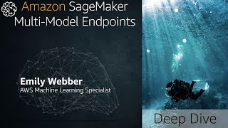 Deploy Multiple ML Models on a Single Endpoint Using Multimodel Endpoints on Amazon SageMaker [upl. by Odrahcir340]