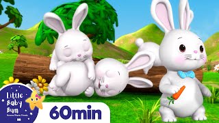 Sleeping Bunnies  LittleBabyBum  Nursery Rhymes for Babies [upl. by Dami]