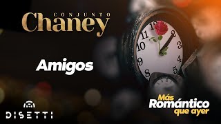 Conjunto Chaney  Amigos  Salsa con Letra Romántica [upl. by Pizor]