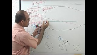 Inflammation  Vascular Events  Immunology  Dr Najeeb [upl. by Riana]