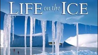 LIFE ON THE ICE Journeys AR Read Aloud 3rd Grade Lesson 20 [upl. by Atworth]