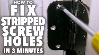 Fix Stripped Screw Holes  3 MINUTE FIX [upl. by Isman917]