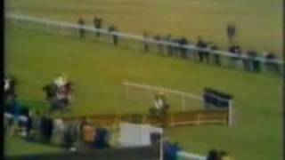 Horse Racing 1974 Triumph Hurdle Cheltenham Attivo [upl. by Adamina858]