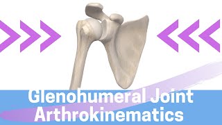 Shoulder Kinesiology Glenohumeral Joint Movement [upl. by Anirahtak571]