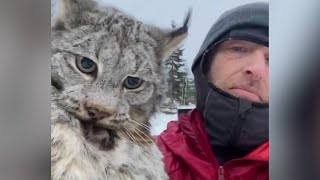 Farmer lectures a lynx after it attacked his chicken coop in British Columbia [upl. by Etnwahs]