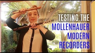 Review Mollenhauer Modern Recorders  Team Recorder [upl. by Amek]