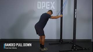 Banded Pulldown  OPEX Exercise Library [upl. by Asiaj]