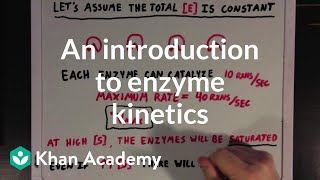 An introduction to enzyme kinetics  Chemical Processes  MCAT  Khan Academy [upl. by Janek]