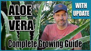 Aloe Vera Complete Growing Guide  With 3 Month Update [upl. by Lolly344]